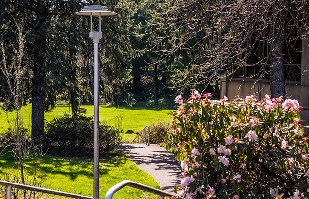 Image of the green space at MHCC's Gresham campus