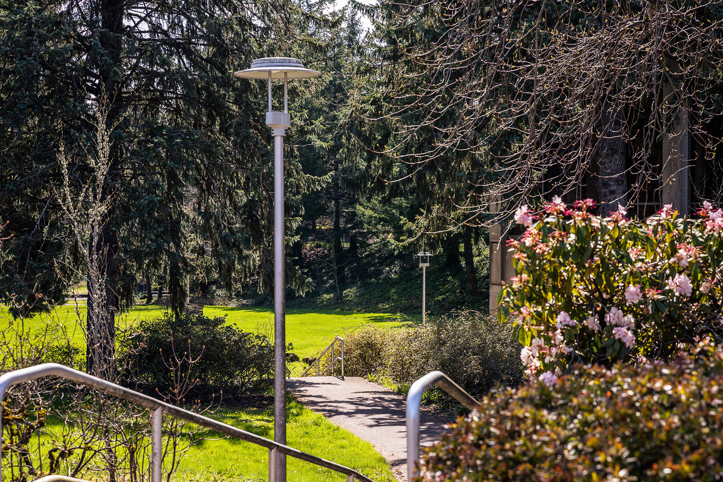 Trees, bushes, and light post on Gresham campus