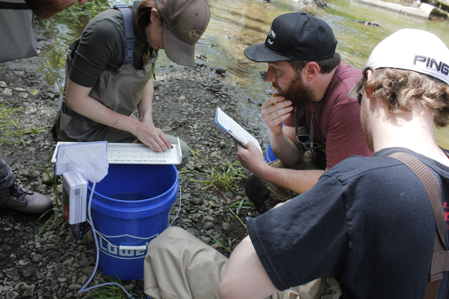 Fisheries students sampling populations at a river site
